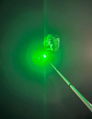 4’ Mwhips Bluetooth Color Changing Camp Locator