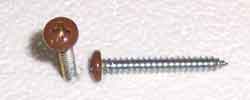 Airstream 8 x 1-1/4" Type A Phillips Head Screw BH, Brown - 320020-100