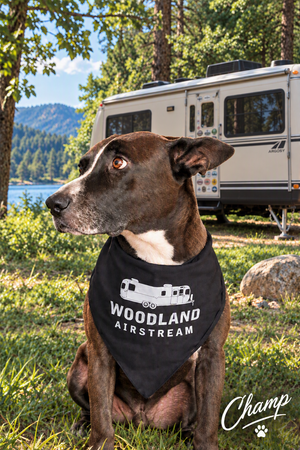 Woodland Airstream 21" x 21" Bandana