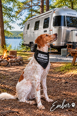 Woodland Airstream 21" x 21" Bandana
