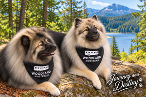 Woodland Airstream 21" x 21" Bandana