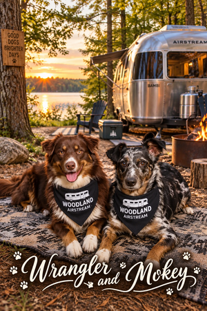 Woodland Airstream 21" x 21" Bandana