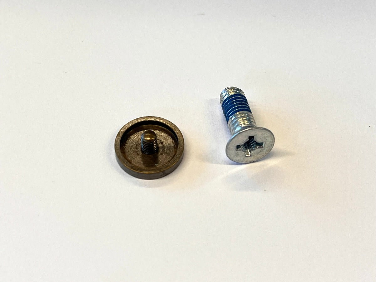 Airstream Screw and Cap Only - 382413-04