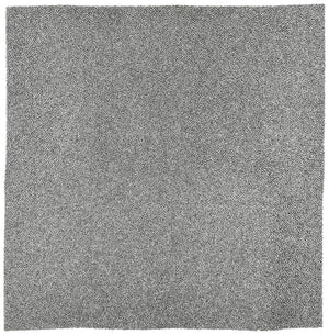Coleman Black 6798A3761 Filter