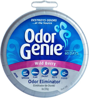 DampRid Odor Genie Freshener, 8 oz